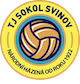 TJ Sokol Svinov